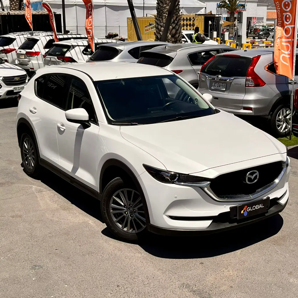 WhatsApp Image 2025-11-19 at 14.48.43.webp