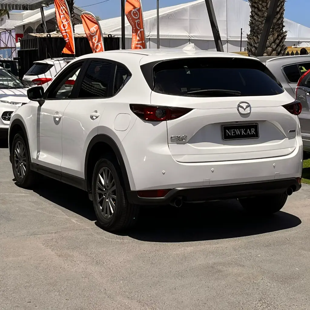 WhatsApp Image 2025-11-19 at 14.48.47 (2).webp