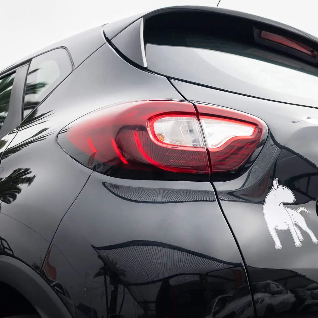 Renault Captur 2018 Autos usados La Serena NEWKAR