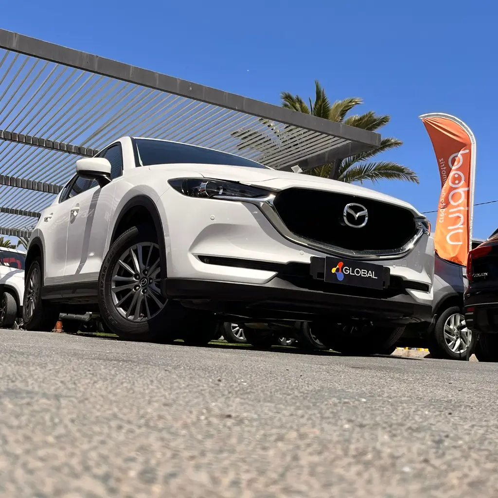 WhatsApp Image 2025-11-19 at 14.48.44.webp