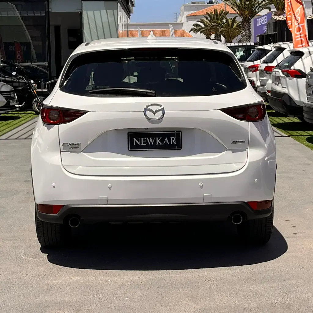 WhatsApp Image 2025-11-19 at 14.48.46 (1).webp