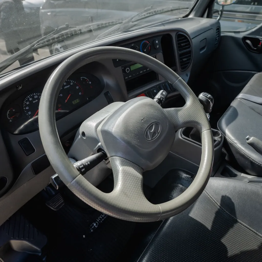 Hyundai HD35 2022 usado la serena newkar